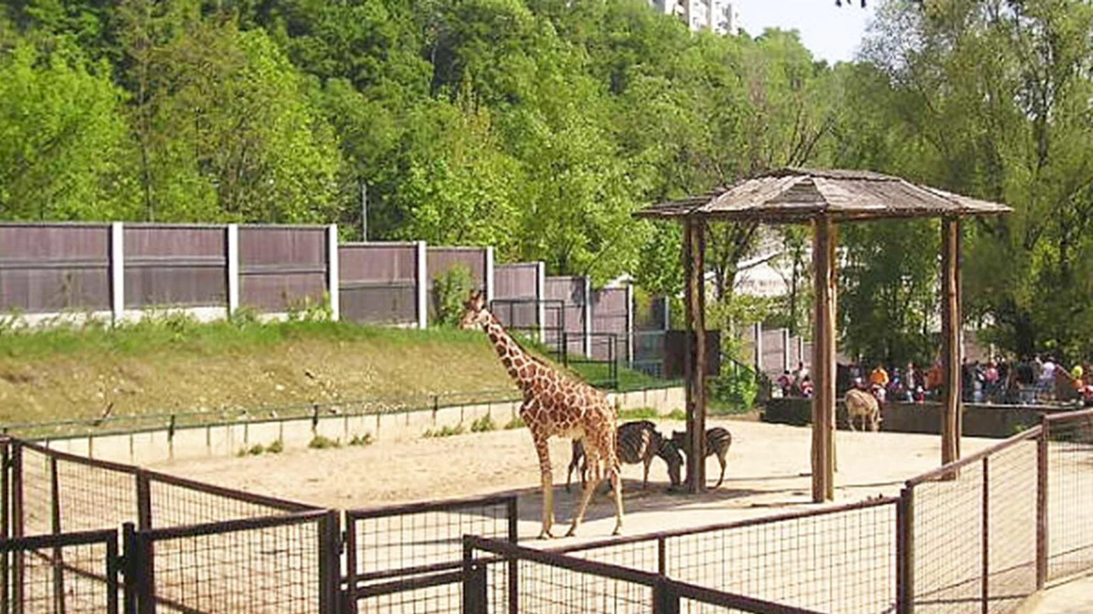 Bratislavskú Zoo otvorili v stredu opäť pre verejnosť