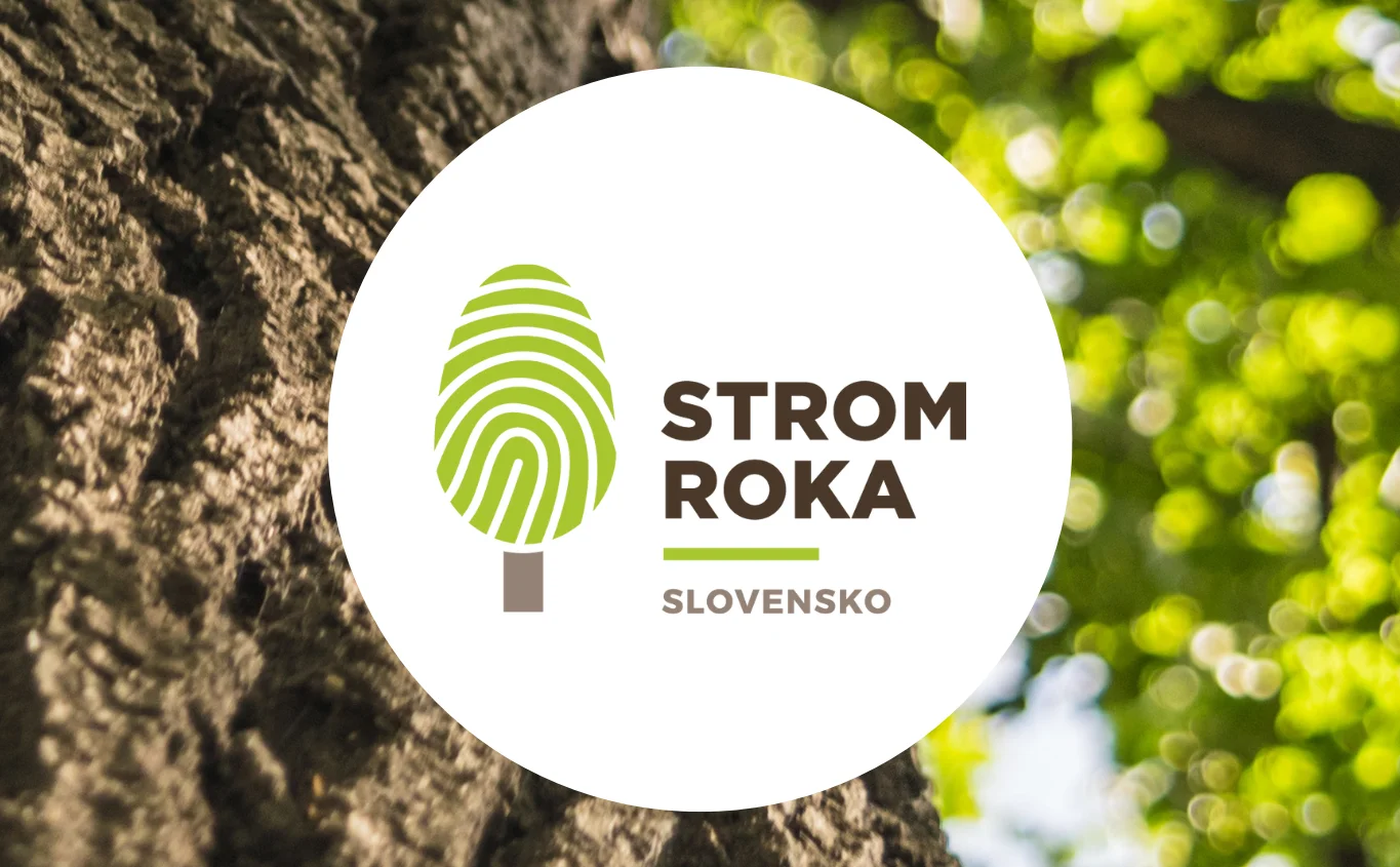 Hlasovanie v ankete Strom roka 2025 stále pokračuje! Spoznajte príbehy 12 finalistov súťaže a vyberte svojho obľúbenca